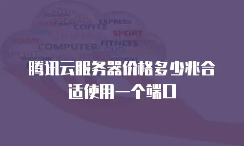 腾讯云服务器价格多少兆合适使用一个端口