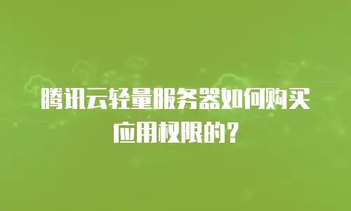 腾讯云轻量服务器如何购买应用权限的？