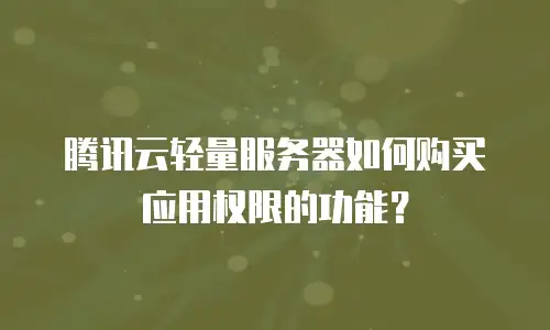 腾讯云轻量服务器如何购买应用权限的功能？