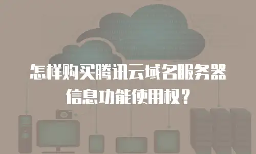 怎样购买腾讯云域名服务器信息功能使用权？