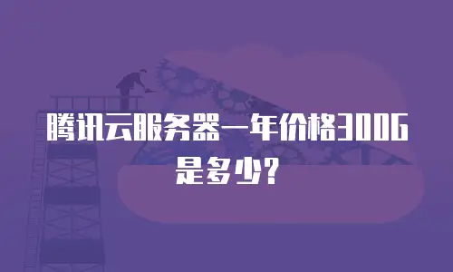 腾讯云服务器一年价格300G是多少？