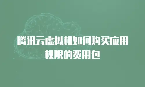 腾讯云虚拟机如何购买应用权限的费用包