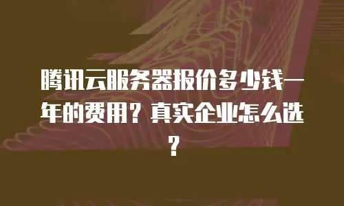 腾讯云服务器报价多少钱一年的费用？真实企业怎么选？