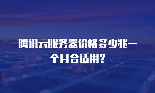 腾讯云服务器价格多少兆一个月合适用？