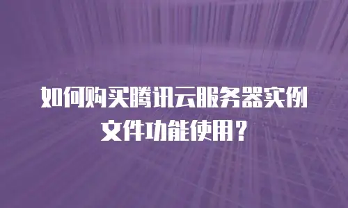 如何购买腾讯云服务器实例文件功能使用？
