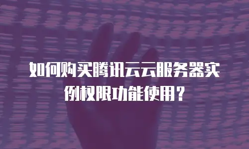 如何购买腾讯云云服务器实例权限功能使用？