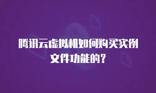 腾讯云虚拟机如何购买实例文件功能的？