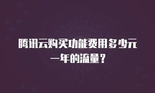 腾讯云购买功能费用多少元一年的流量？