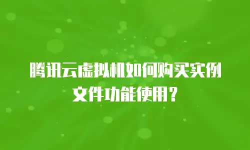 腾讯云虚拟机如何购买实例文件功能使用？