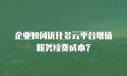 企业如何优化多云平台增值服务续费成本？