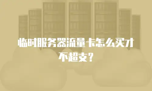 临时服务器流量卡怎么买才不超支？