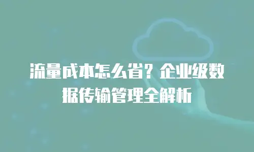 流量成本怎么省？企业级数据传输管理全解析
