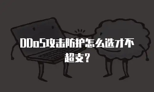 DDoS攻击防护怎么选才不超支？