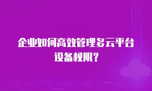 企业如何高效管理多云平台设备权限？