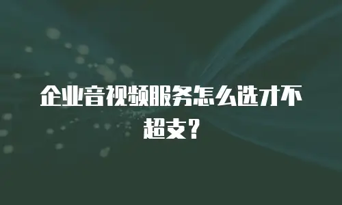 企业音视频服务怎么选才不超支？