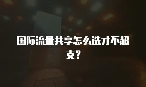 国际流量共享怎么选才不超支？