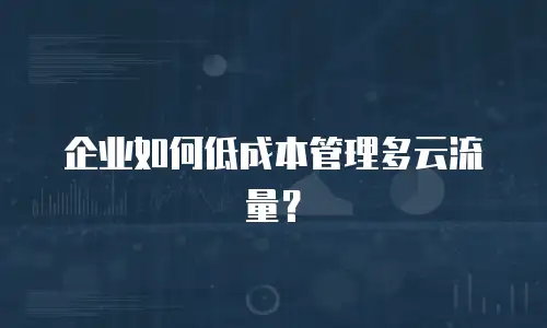 企业如何低成本管理多云流量？