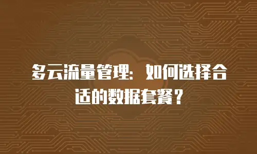 多云流量管理：如何选择合适的数据套餐？
