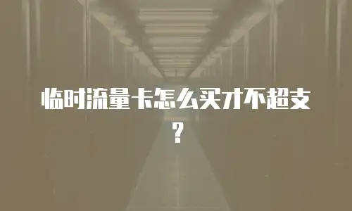 临时流量卡怎么买才不超支？