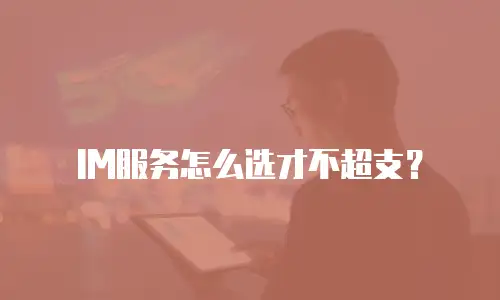 IM服务怎么选才不超支？