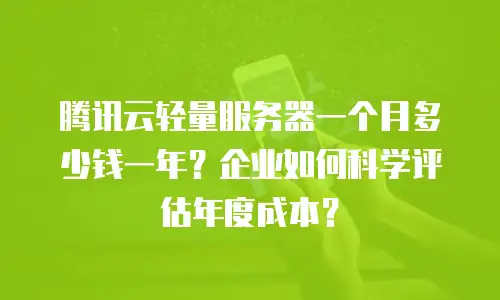 腾讯云轻量服务器一个月多少钱一年？企业如何科学评估年度成本？