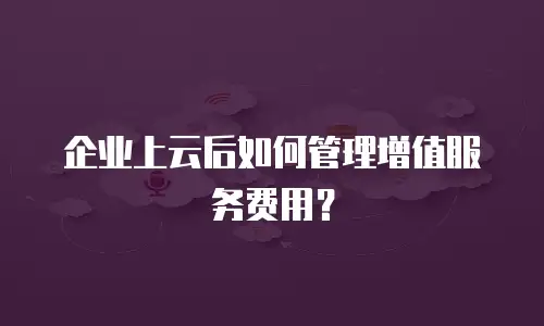 企业上云后如何管理增值服务费用？