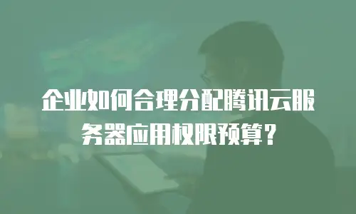 企业如何合理分配腾讯云服务器应用权限预算？