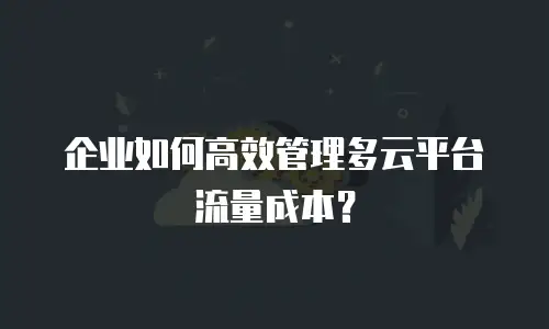 企业如何高效管理多云平台流量成本？