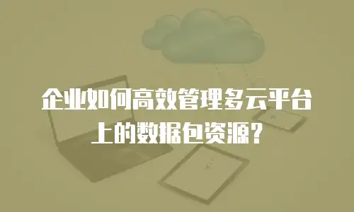 企业如何高效管理多云平台上的数据包资源？