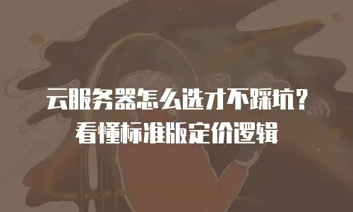 云服务器怎么选才不踩坑？看懂标准版定价逻辑