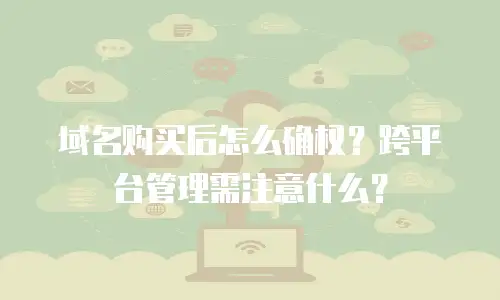 域名购买后怎么确权？跨平台管理需注意什么？