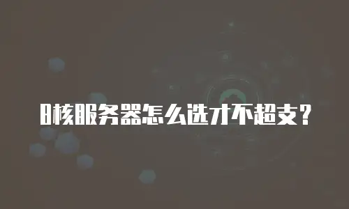 8核服务器怎么选才不超支？