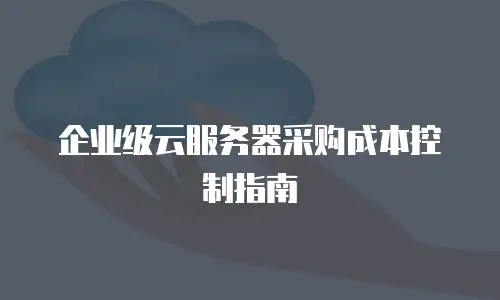 企业级云服务器采购成本控制指南