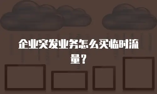 企业突发业务怎么买临时流量？