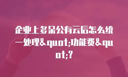 企业上多朵公有云后怎么统一处理"功能费"？