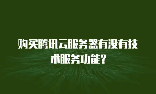 购买腾讯云服务器有没有技术服务功能？
