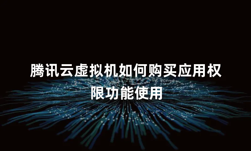 腾讯云虚拟机如何购买应用权限功能使用