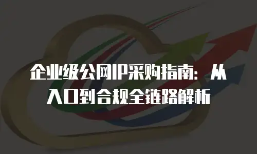 企业级公网IP采购指南：从入口到合规全链路解析