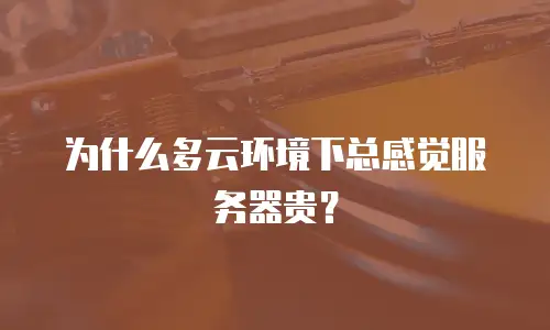 为什么多云环境下总感觉服务器贵？