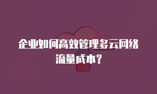 企业如何高效管理多云网络流量成本？