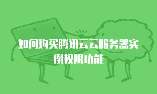 如何购买腾讯云云服务器实例权限功能