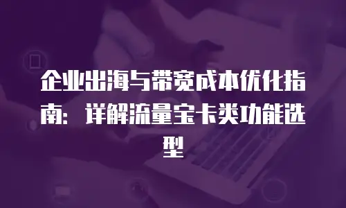企业出海与带宽成本优化指南：详解流量宝卡类功能选型