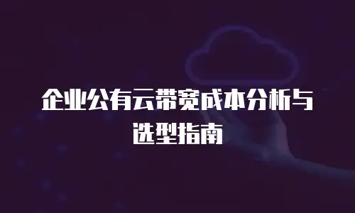 企业公有云带宽成本分析与选型指南