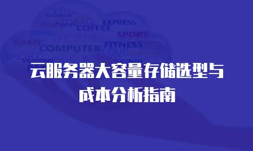 云服务器大容量存储选型与成本分析指南