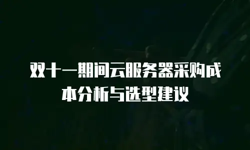 双十一期间云服务器采购成本分析与选型建议