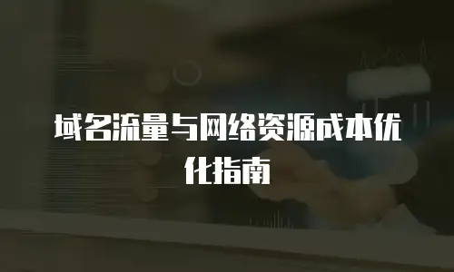 域名流量与网络资源成本优化指南