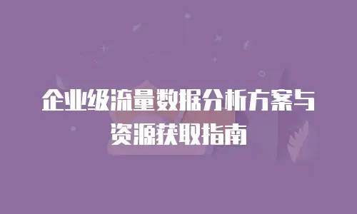 企业级流量数据分析方案与资源获取指南