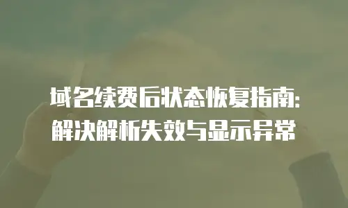 域名续费后状态恢复指南：解决解析失效与显示异常