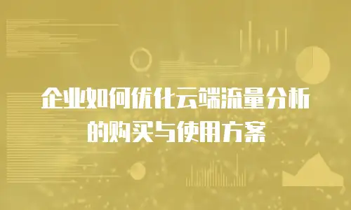企业如何优化云端流量分析的购买与使用方案