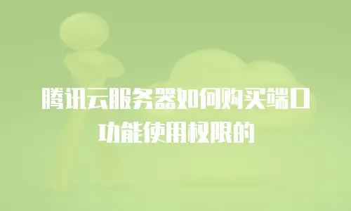 腾讯云服务器如何购买端口功能使用权限的